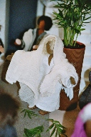 Durch Anklicken kann dieses Bild in Druckqualit�t heruntergeladen werden