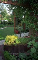 Stauden vor dem Terassengitter