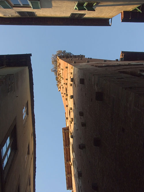 Turm von Case Guinigi